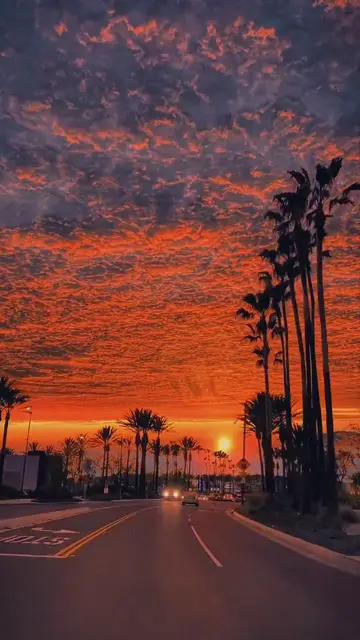 Превью шаблона «AESTHETIC SUNSET»