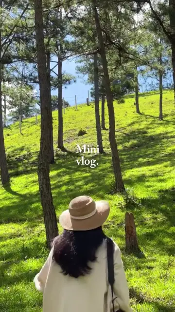 Превью шаблона «Mini vlog»