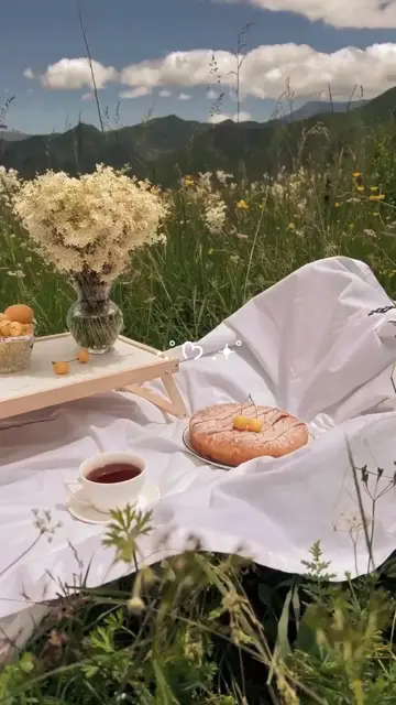 Превью шаблона «Picnic Vlog Aestheti»