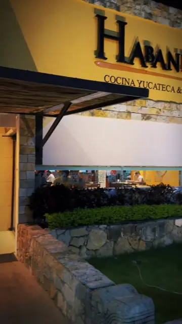 Превью шаблона «Promo Negocio»