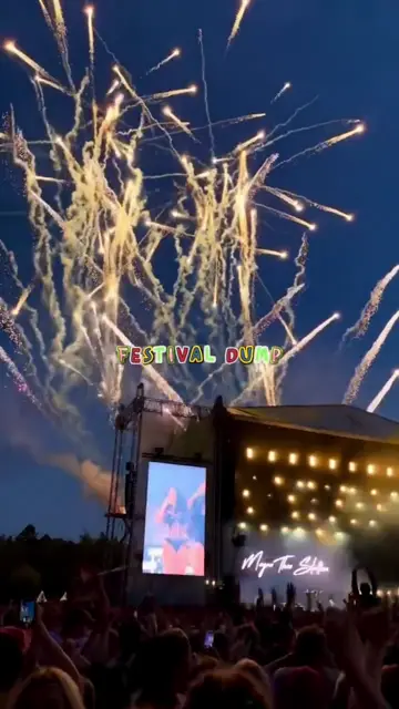 Превью шаблона «Festival Dump»