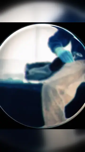 Превью шаблона «Fisheye»
