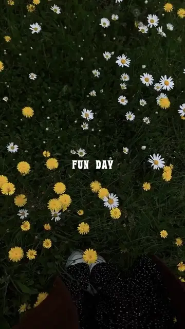 Превью шаблона «fun day»