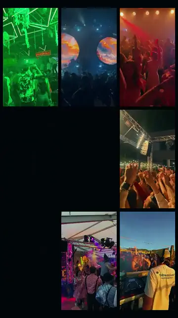 Превью шаблона «Festival dump»