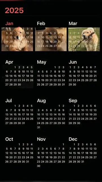 Превью шаблона «2025 calendar recap»