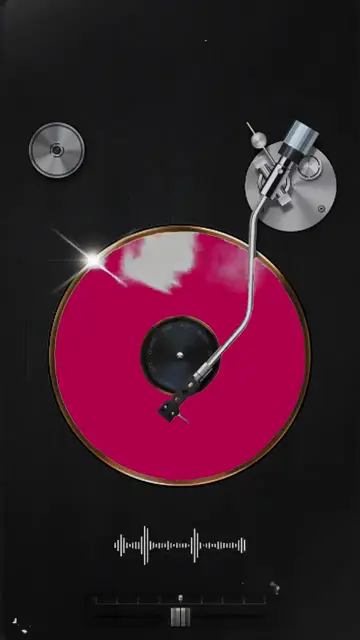 Превью шаблона «VINIL TEMPLATE»