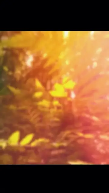 Превью шаблона «nature vibes»
