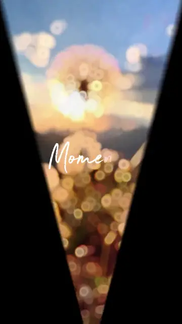Превью шаблона «spring moments»