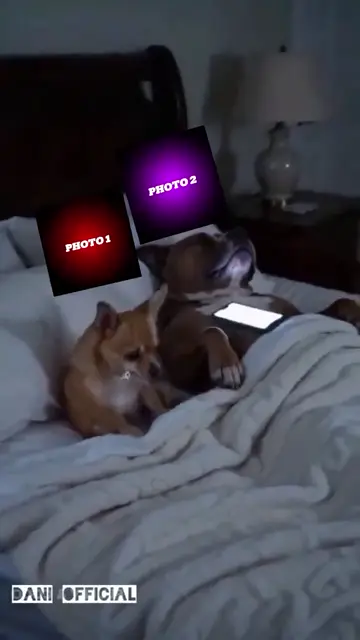 Превью шаблона «NEW TREND TEMPLATES»